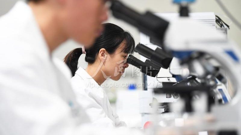 CDMO质量标准哪家好