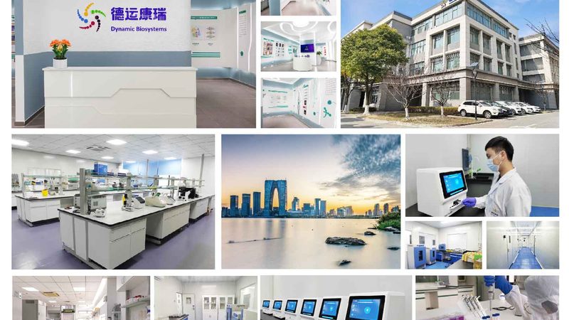 CDMO定制研发项目：揭秘医药创新背后的关键力量