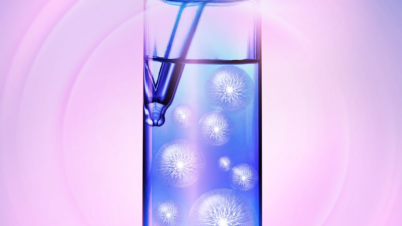 广州酶制剂批发厂家：如何选择合适的供应商？**
