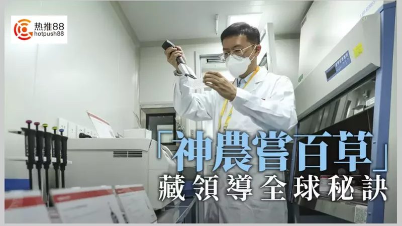 小分子CDMO价格背后的考量因素**