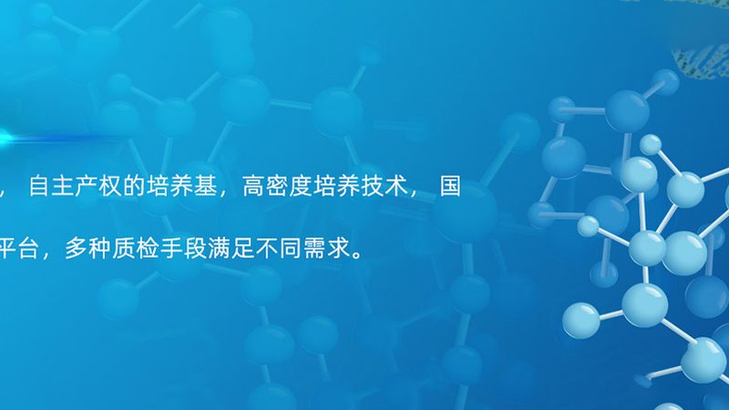 上海基因检测全流程拆解：从采样到报告的关键节点