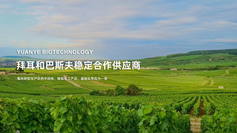 细胞工厂维护人员培训：关键技能与实操要点**