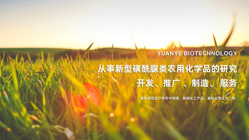培养基瓶密封性：玻璃盖与塑料盖的差异化解析**