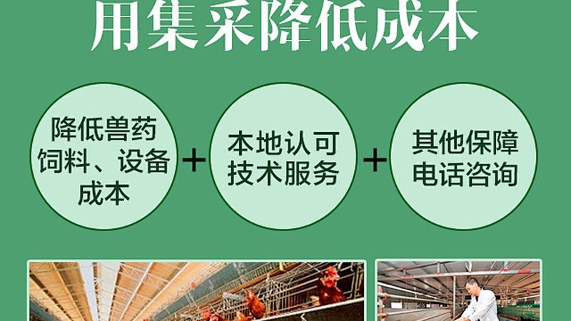 细胞工厂：揭秘其背后的生产力量与排名考量**