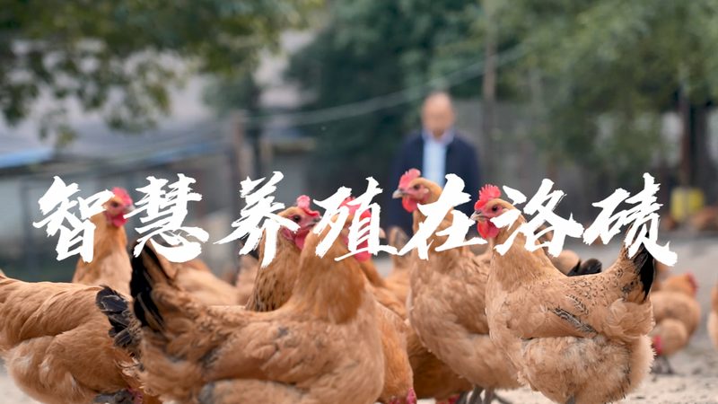 新药临床试验分期：从实验室到药房的四道关卡
