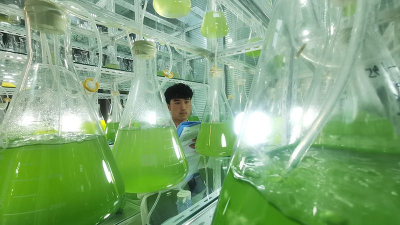 实验室耗材，选对是关键**